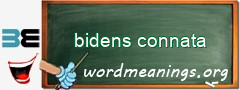 WordMeaning blackboard for bidens connata